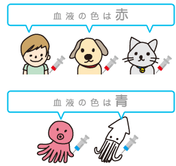 血液の色