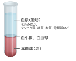 血液の組成