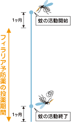 予防シーズン