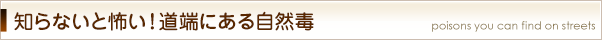 知らないと怖い！道端にある自然毒