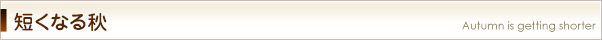 短くなる秋