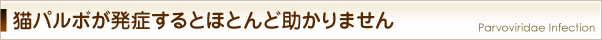 猫バルボが発症するとほとんど助けることができません