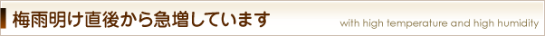 梅雨明け直後から急増しています