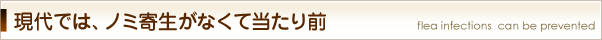 現代では、ノミ寄生がなくて当たり前