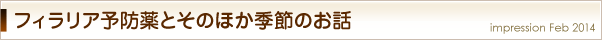 犬のフィラリア予防薬とそのほか季節のお話