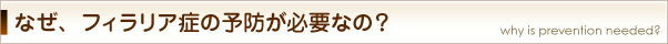 なぜフィラリア症の予防が必要なの？