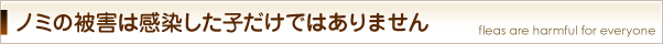 ノミの被害は感染した子だけではありません
