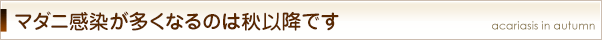 マダニ感染が多くなるのは秋以降です