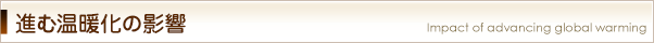 進む温暖化の影響