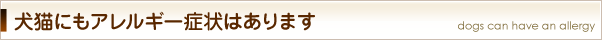 犬猫にもアレルギー症状はあります