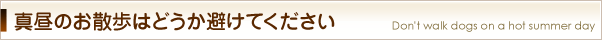 真昼のお散歩はどうか避けてください