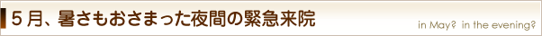 5月の、暑さもおさまった夜間の緊急来院