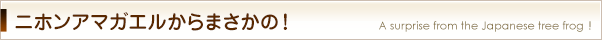 ニホンアマガエルからまさかの！