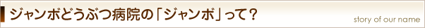 ジャンボどうぶつ病院の「ジャンボ」って？