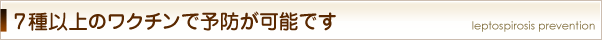 7種以上のワクチンで予防が可能です