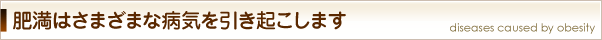 肥満はさまざまな病気を引き起こします