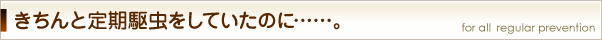 きちんと定期駆虫をしていたのに……。