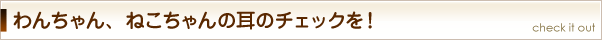 わんちゃん、ねこちゃんの耳のチェックを！