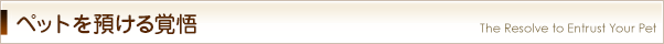 ペットを預ける覚悟