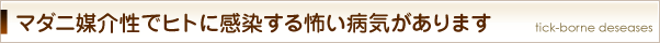 マダニ媒介性でヒトに感染する怖い病気があります