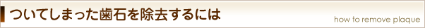 ついてしまった歯石を除去するには