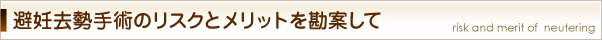 避妊去勢手術のリスクとメリットを勘案して