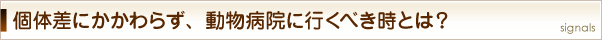 個体差にかかわらず、動物病院に行くべき時とは？