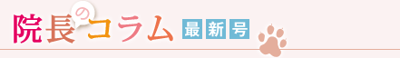 院長のコラム最新号