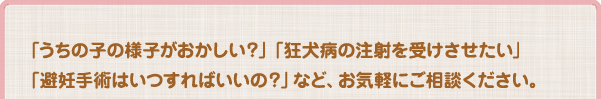 「うちの子の様子がおかしい？」「狂犬病の注射を受けさせたい」「避妊手術はいつすればいいの？」など、お気軽にご相談ください。