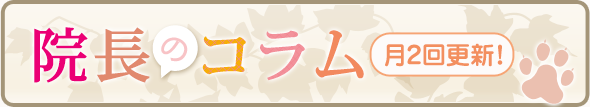 院長のコラム